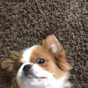 Meet your Posher, Carlos